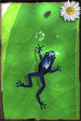 Ancient Frog