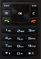 Samsung SGH-F300